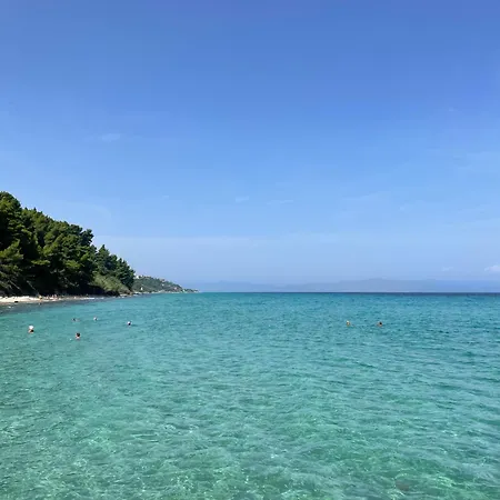 - Paspiti - Chalkidiki