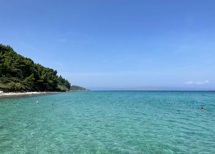 - Paspiti - Chalkidiki